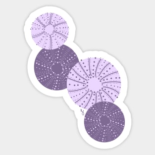 Dried Urchin Sticker